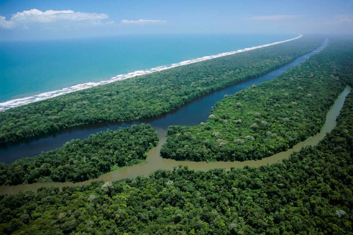 Guide to Tortuguero National Park