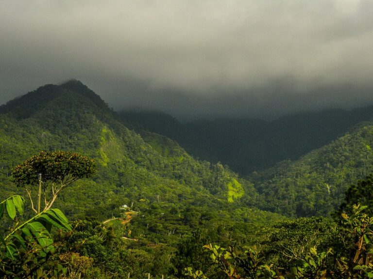 Guide to Cerro Azul de Copán National Park