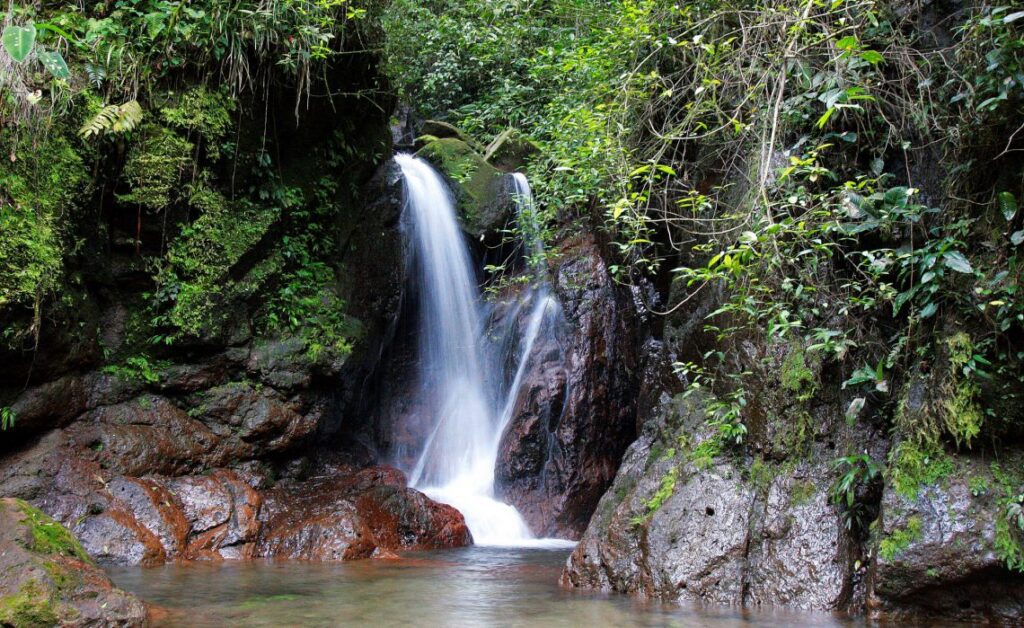 - FIELD NOTES Cerro Azul Meámbar National Park, Honduras