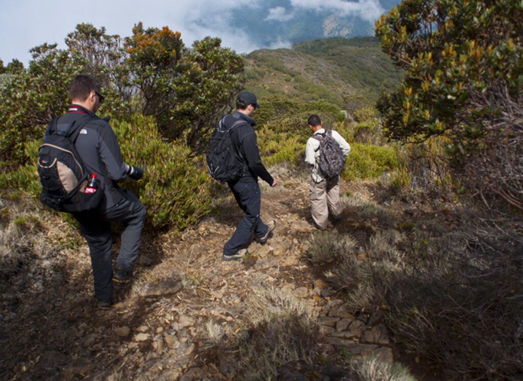 Chirripó National Park