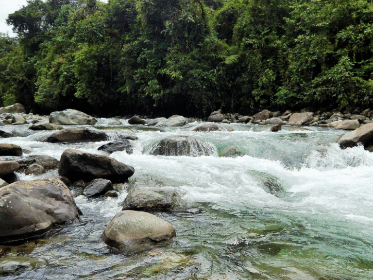 Guide to Tapantí-Cerro de la Muerte Massif National Park