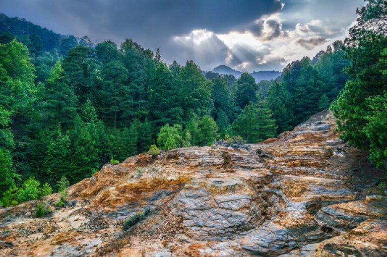 Guide to La Tigra National Park