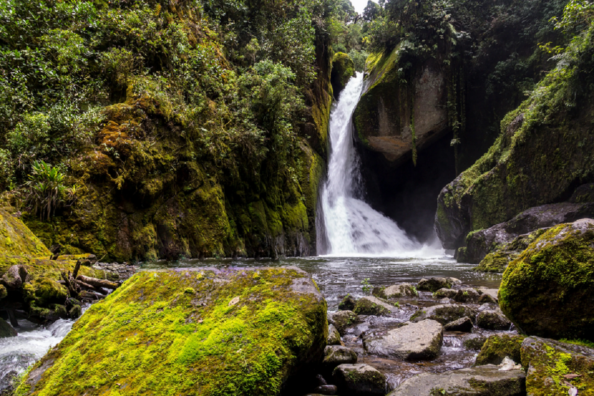Guide to Los Quetzales National Park