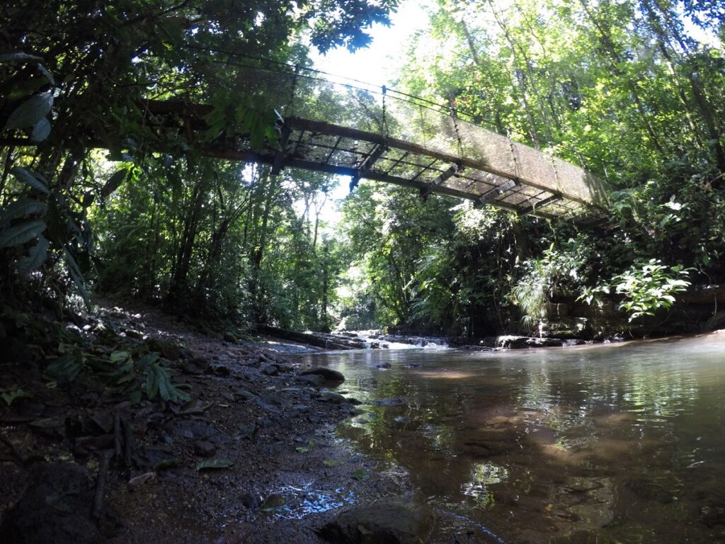 Guide to La Cangreja National Park