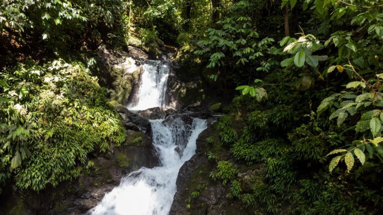 Guide to Billy Barquedier National Park