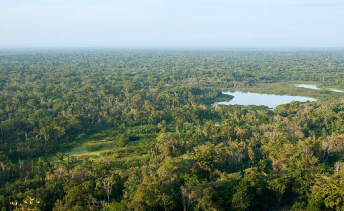 Guide to Laguna del Tigre National Park