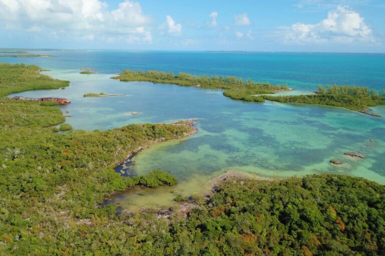 Guide to Abaco National Park