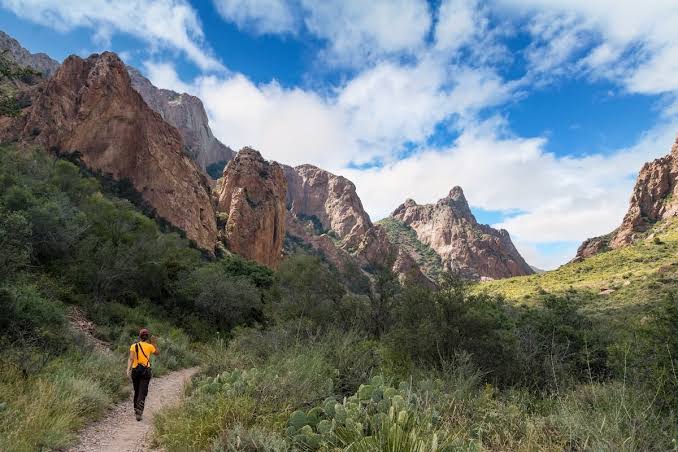 - FIELD NOTES Guide to Big Bend National Park
