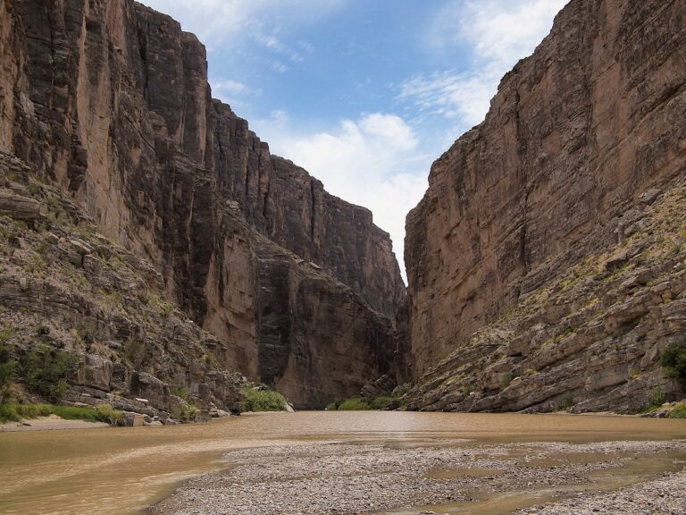 Guide to Big Bend National Park